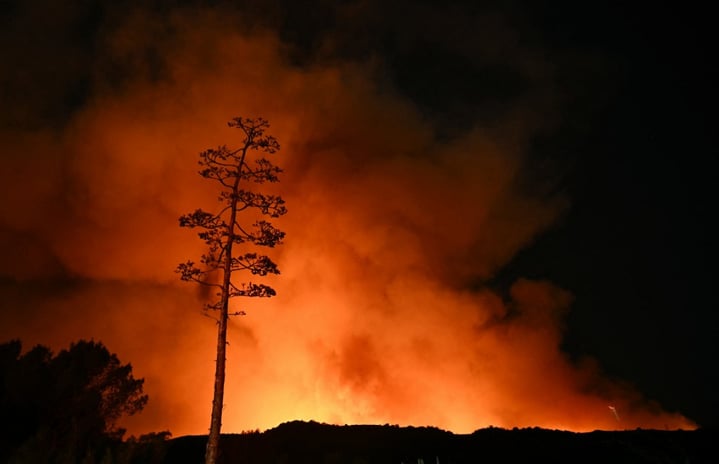 Featured Image